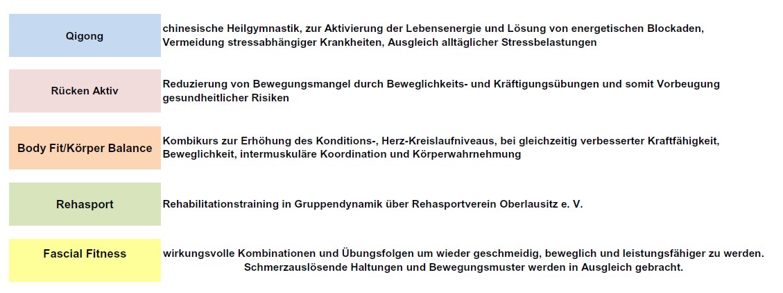 Erklärung Kursplan