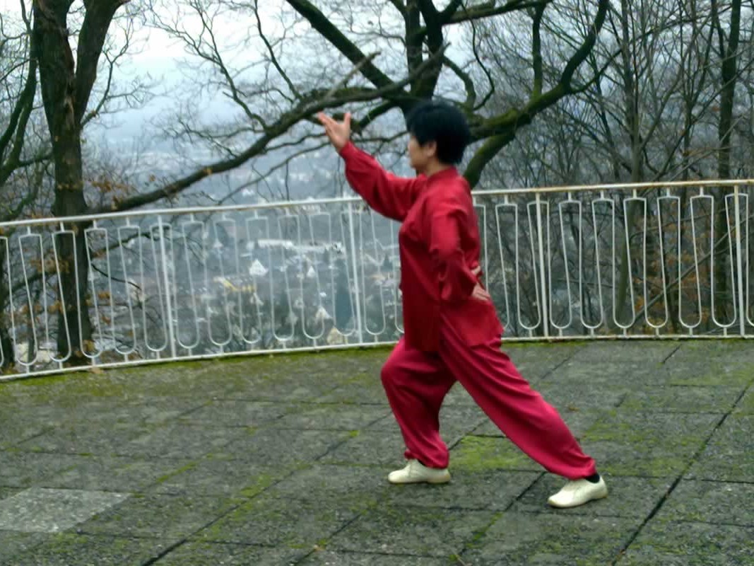 Frau Dr. Liu Yafei bei einer Qigong-Übung